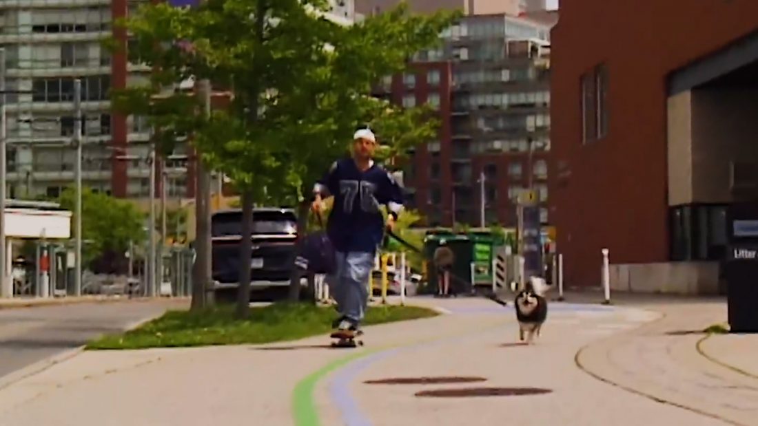 tj+doggo
