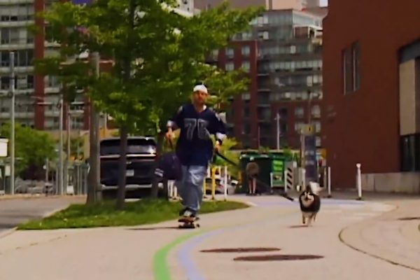 tj+doggo