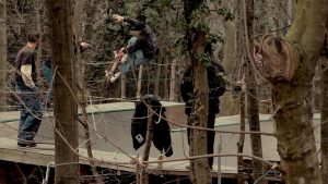 transitiontansmissionatalbertos