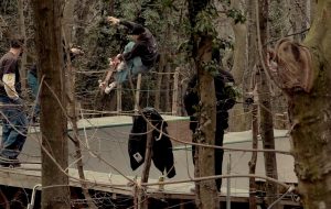 TRANSITION TRANSMISSION – Cinghial DIY