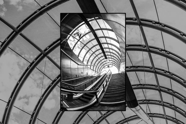 Irregular-skatemag-cover-issue-51