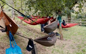 WALD – I PIIREENEEEEIIIIIII