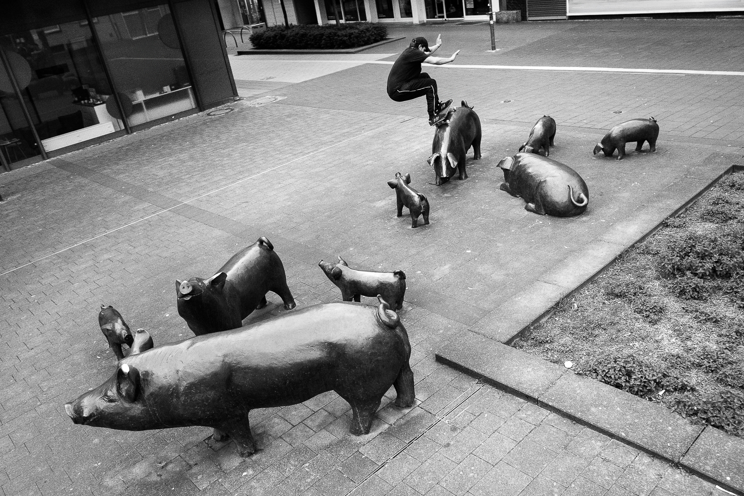 Georg - FS 50-50_schweine_irregularskatemag