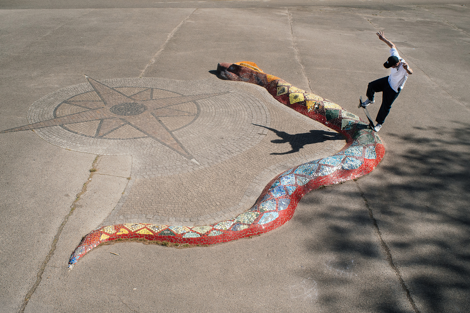 Matze- Fs Bluntslide to fakie into the snake - Schlange2_irregularskatemag