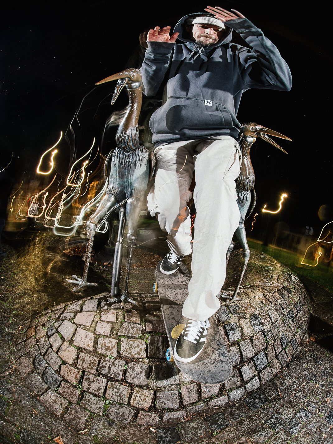 Patrick Wenz_Störche_irregularskatemag