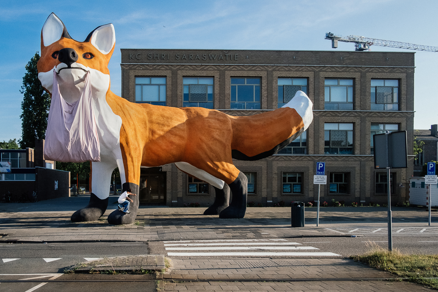 Ryota - Pfoten Roll Over_Fuchs_irregularskatemag