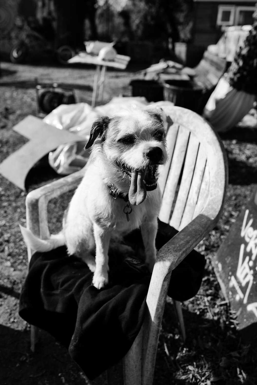 We-still-live-here-Irregular-Magazine-13