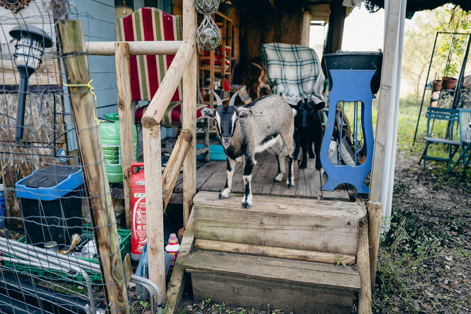 We-still-live-here-Irregular-Magazine-14