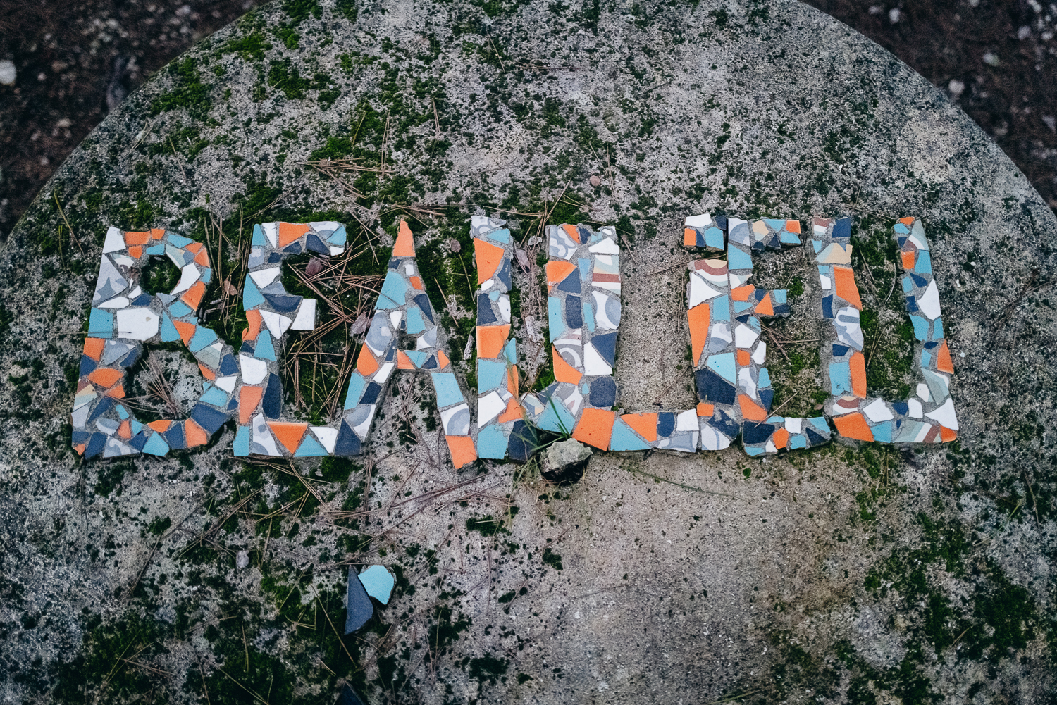 We-still-live-here-Irregular-Magazine-38