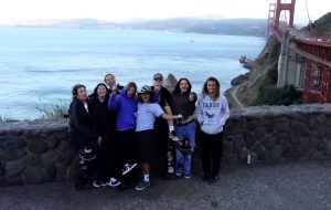 LOOP Hardware – STFU