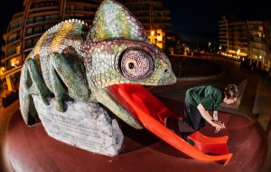 ROBERT AND THE ANIMALS