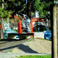 MaxMesserschmidt_CrooksShove-It_Lissabon2026_Gentsch(adj)_Preview