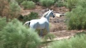 DILLER KAI TOUR ’23